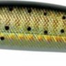 Воблер Rapture Anchovy
