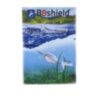 Захист трійника B8shield