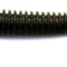 Силиконовый червь Rapture Intruder Curly Tail