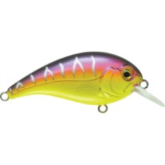 Воблер Rapture Gekko Crank